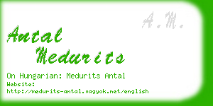 antal medurits business card